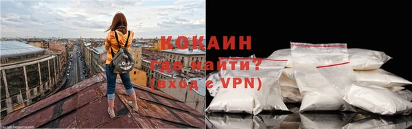 твердый Абаза