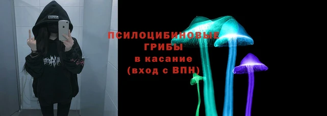 круглые Алексеевка