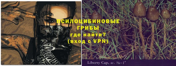 круглые Алексеевка