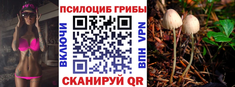 Галлюциногенные грибы ЛСД  OMG ссылка  дарк нет телеграм  Тобольск 